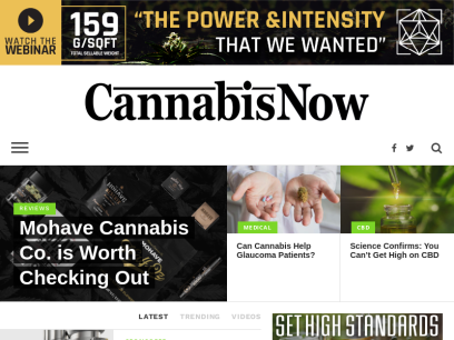 cannabisnow.com.png