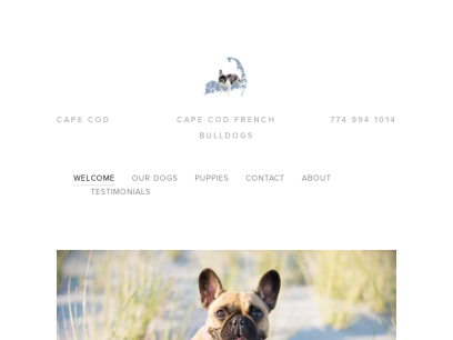 capecodfrenchies.com.png