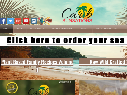 caribsunsations.com.png