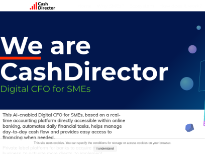 cashdirector.com.png
