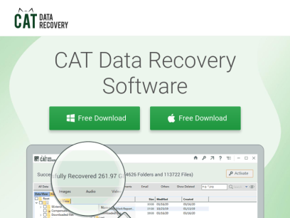 catdatarecovery.com.png