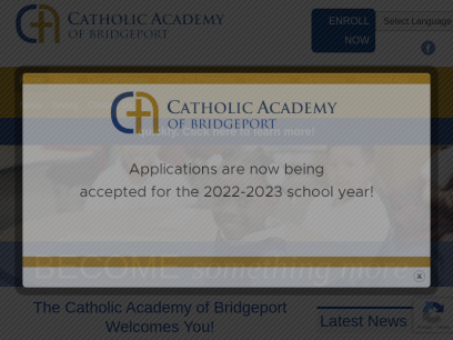 catholicacademybridgeport.org.png