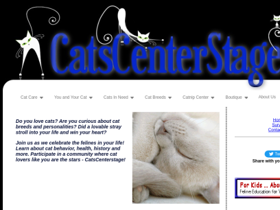 catscenterstage.com.png