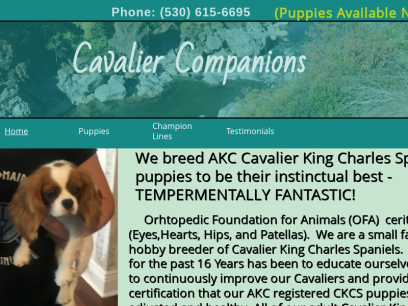 cavaliercompanions.com.png