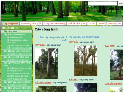caycongtrinh.com.vn.png