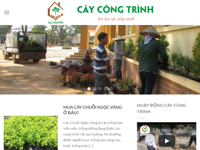 caycongtrinh.org.png