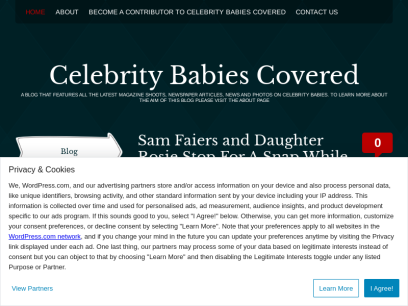 celebritybabiescovered.com.png