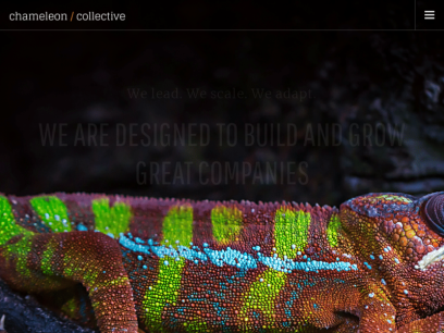 chameleoncollective.com.png