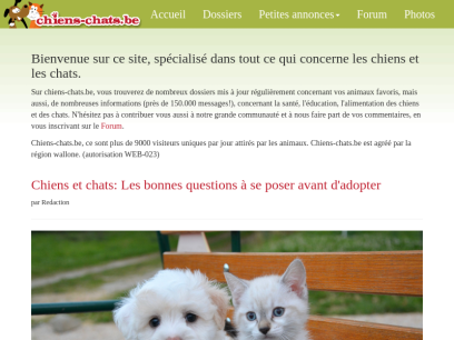chiens-chats.be.png