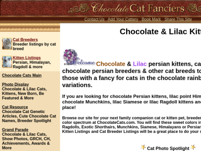 chocolatecats.com.png