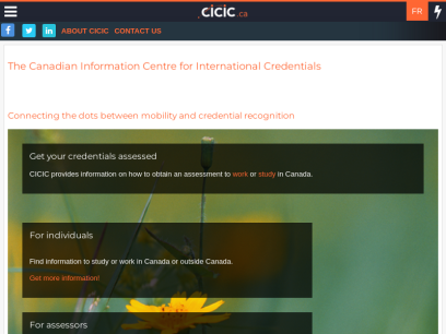 cicic.ca.png