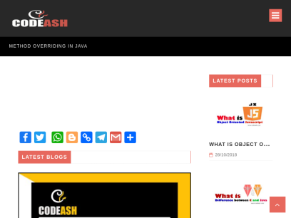 codeash.com.png