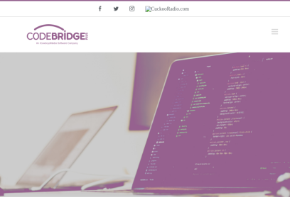 codebridgeplus.com.png