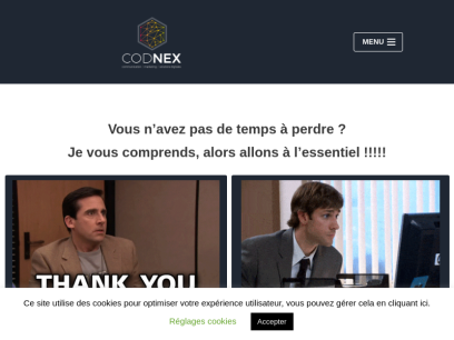 codnex.net.png