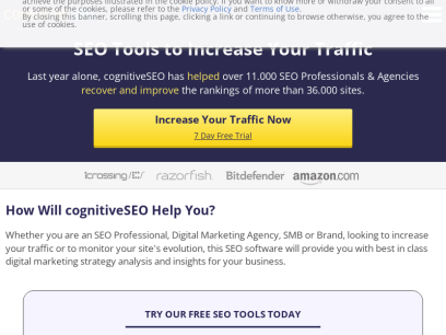 cognitiveseo.com.png