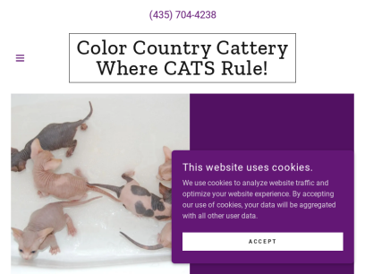 colorcountrycattery.com.png
