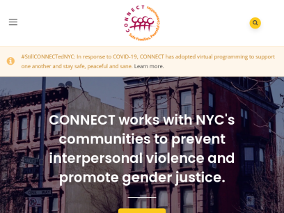 connectnyc.org.png