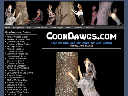 coondawgs.com.png