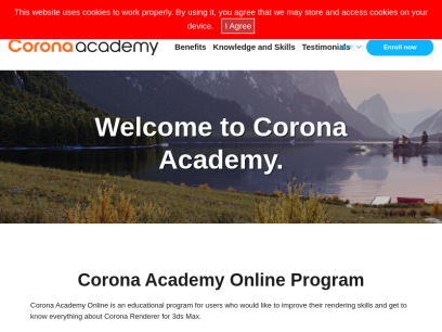 corona-academy.com.png