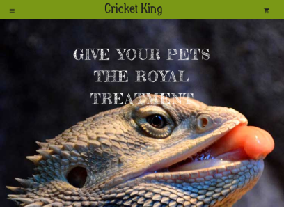 cricketking.com.au.png