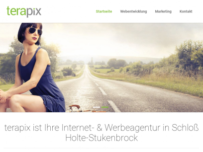 terapix Internet- &amp; Werbeagentur Schlo&szlig; Holte-Stukenbrock