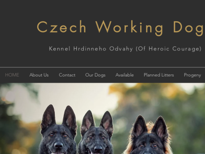 czechworkingdogs.com.png