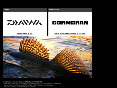 daiwa-cormoran.info.png