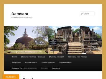 damsara.org.png