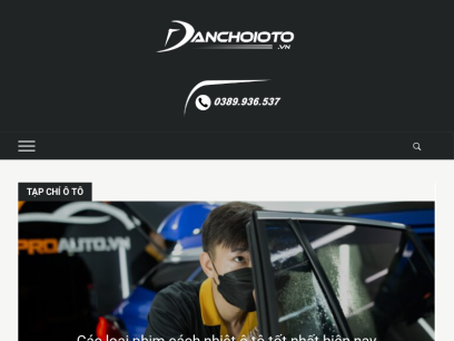 danchoioto.vn.png