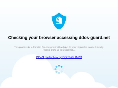 ddos-guard.net.png