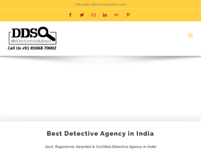 dds-detectivesolution.com.png