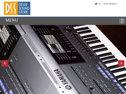 delhisoundstore.com.png