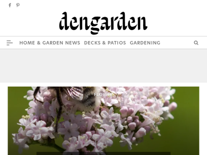 dengarden.com.png