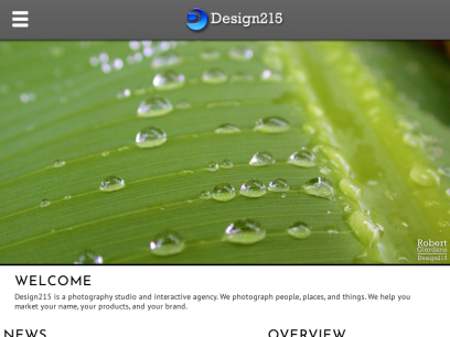 design215.com.png