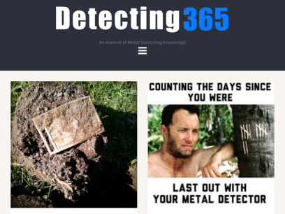 detecting365.com.png