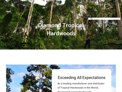 diamondtropicalhardwoods.com.png