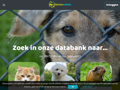 dierenasiels.com.png