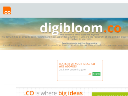 digibloom.co.png