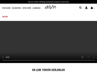 dilvin.com.tr.png