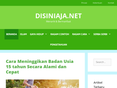 disiniaja.net.png