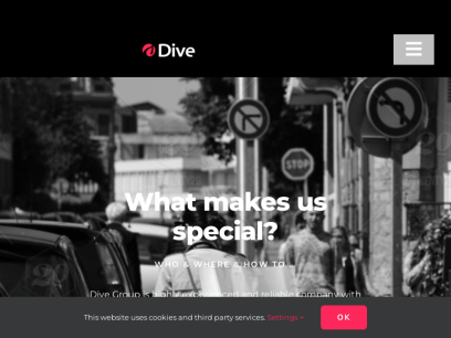 dive-group.com.png