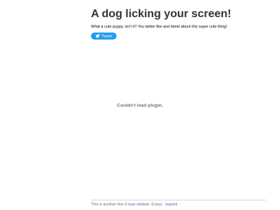 dogfront.com.png
