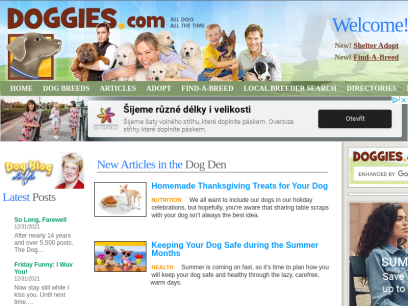 doggies.com.png