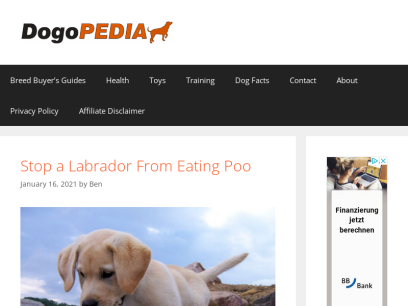 dogopedia.net.png