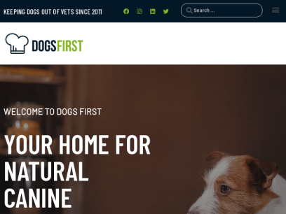 dogsfirst.ie.png