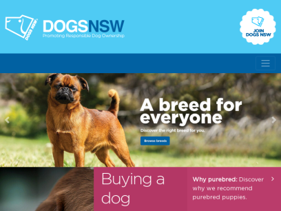 dogsnsw.org.au.png