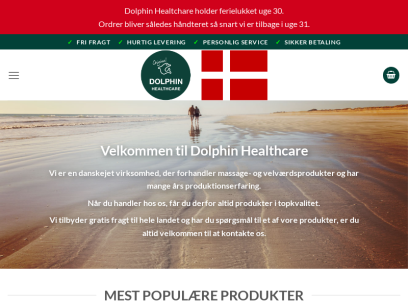 dolphin-healthcare.dk.png