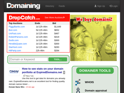 domaining.com.png