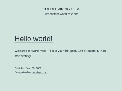 doubleviking.com.png