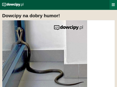 dowcipy.pl.png